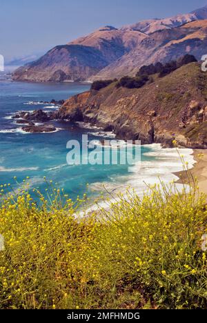 Vista da Gamboa Point, Big Creek Bridge sull'autostrada uno in lontananza, Charlock Flowers, Big sur, California, Stati Uniti Foto Stock