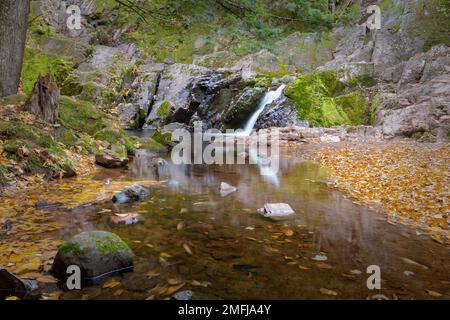 Questa immagine è di Morgan Falls situato nel Wisconsin nordoccidentale. Fa parte della foresta nazionale di Nicolet ed è una destinazione molto popolare. Foto Stock