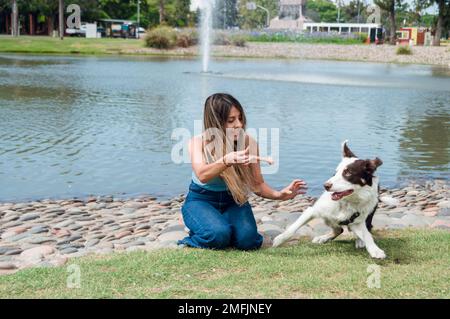 Giovane donna latina, di etnia colombiana, accoccolata nell'erba con un osso giocattolo che gioca nel parco con il suo cane collie di confine Foto Stock