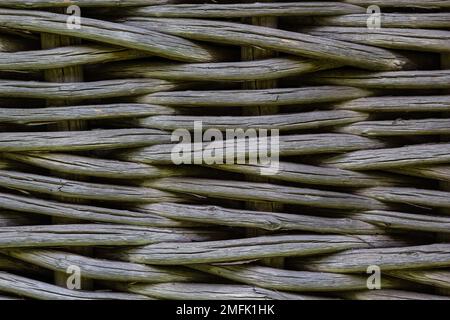 La recinzione è tessuta da rami asciutti, primo piano. Tessitura da rami secchi di salice. Wicker Willow recinto è un tradizionale wattle recinto. Foto Stock