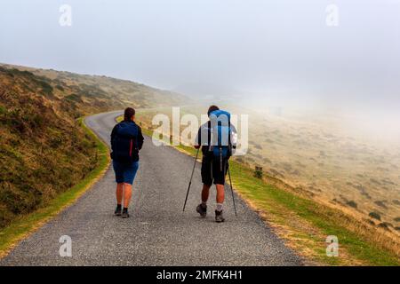Coppia di pellegrini che camminano lungo il Camino de Santiago attraverso i Pirenei. Francia Foto Stock