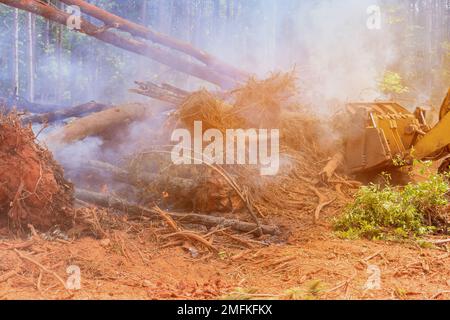 Nel cantiere si sta accendendo un incendio per bruciare la foresta sradicata per preparare il terreno per le case da costruzione. Foto Stock