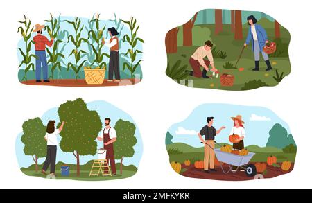 Scene di raccolta. La gente raccoglie verdura, frutta e cereali, personaggi contadini con cesti, secchi e carriole, raccoglitrici di funghi, oggi Illustrazione Vettoriale