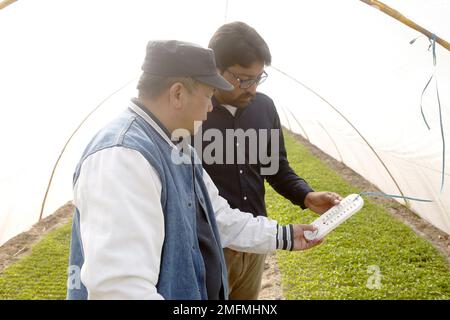 (230125) -- MULTAN, 25 gennaio 2023 (Xinhua) -- Zhao Jianhua (L), un agronomo cinese, guida il tecnico pakistano Muhammad Sajad in una serra del progetto pakistano-cinese del peperoncino rosso a Multan, Pakistan, 16 gennaio 2023. ANDARE CON 'caratteristica: Pakistan-Cina rosso chili progetto per aiutare a elevare il settore agricolo pakistano' (Xinhua/Ahmad Kamal) Foto Stock