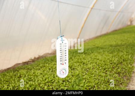 (230125) -- MULTAN, 25 gennaio 2023 (Xinhua) -- questa foto scattata il 16 gennaio 2023 mostra un indicatore di temperatura in una serra del progetto pakistano-Cina peperoncino rosso a Multan, Pakistan. ANDARE CON 'caratteristica: Pakistan-Cina rosso chili progetto per aiutare a elevare il settore agricolo pakistano' (Xinhua/Ahmad Kamal) Foto Stock