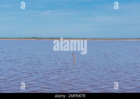 Lago salato rosa a Salin d’Aigues-Mortes, Sud Francia Foto Stock