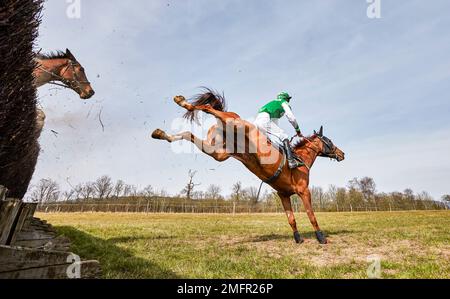 Gara di cavalli da punto a punto di Godstone Surrey Foto Stock