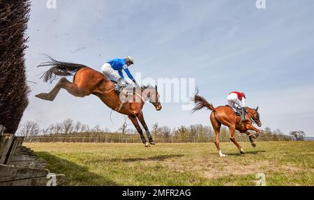 Gara di cavalli da punto a punto di Godstone Surrey Foto Stock