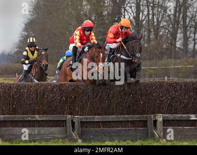 Gara di cavalli da punto a punto di Godstone Surrey Foto Stock