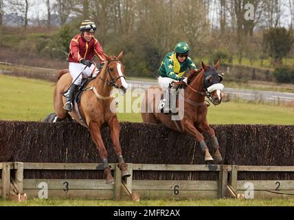 Gara di cavalli da punto a punto di Godstone Surrey Foto Stock