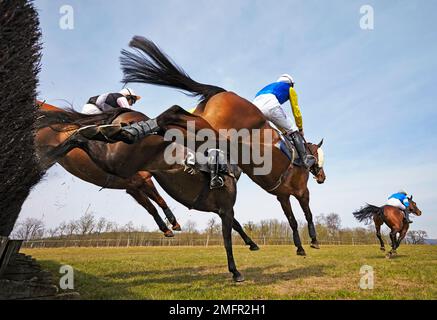 Gara di cavalli da punto a punto di Godstone Surrey Foto Stock