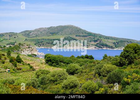 costa sud mediterranea francese nel porto di vendres Francia Foto Stock