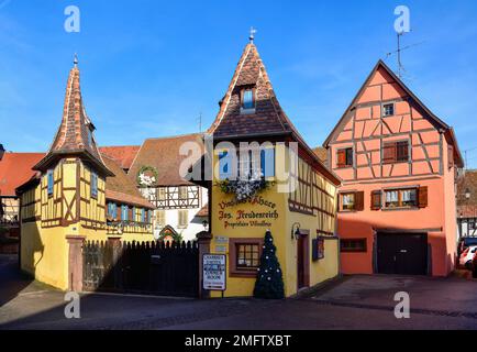 Azienda vinicola Joseph Freudenreich, Eguisheim, Alsace Wine Route, Dipartimento Alto Reno, Grand Est Region, Alsazia, Francia Foto Stock