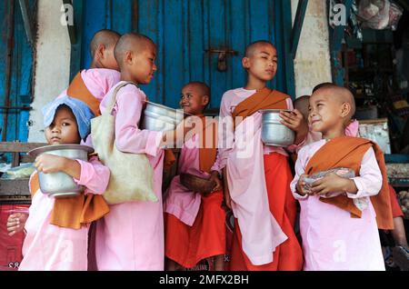 06.04.2014, Yangon, Myanmar, Asia - giovani monache novizi buddiste indossano abiti rosa con ciotole mendicanti dopo il ritorno da una camminata delle elemosine. Foto Stock