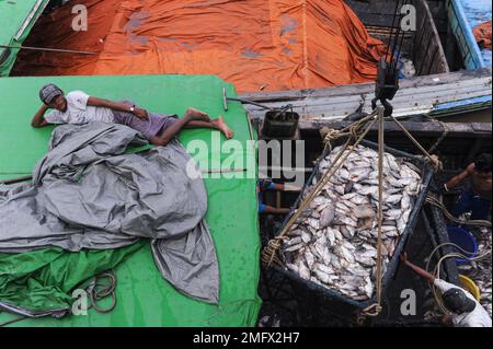 28.06.2014, Yangon, Myanmar, Asia - i lavoratori scaricano pesce fresco catturato da una barca da pesca al tradizionale mercato del pesce di Baho San Pya, mercato all'ingrosso. Foto Stock