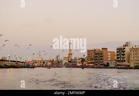 Vista del torrente di Dubai con molti gabbiani e al tramonto Foto Stock