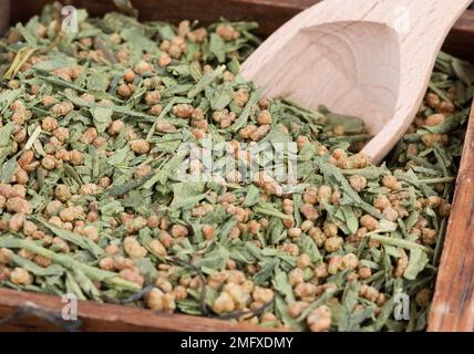 Specialità di tè giapponese - Genmaicha - tè verde con mais di riso arrosto e matcha Foto Stock