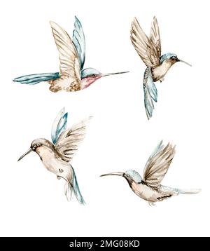 Acquerello Set di colibrì blu disegnato a mano. Disegnato a mano con acquerello su sfondo isolato bianco. Perfetto per un invito di nozze, un saluto Foto Stock