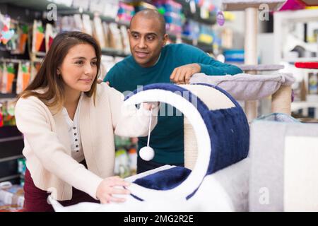 Coppia che sceglie i rifornimenti del mobile del gatto nel negozio Foto Stock