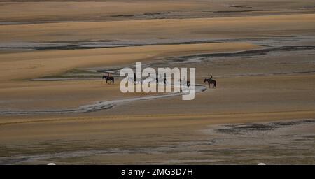 Equitazione guidata sulla spiaggia di sabbia bassa marea che attraversa i corsi d'acqua del fiume nel Parco Nazionale Abel Tasman South Island New Zealand Foto Stock