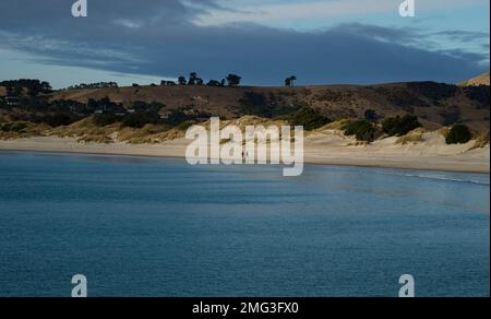 Due persone passeggiando lungo la costa della spiaggia di Aramoana di fronte a dune di sabbia e colline di erba vicino Dunedin Otago South Island Nuova Zelanda Foto Stock