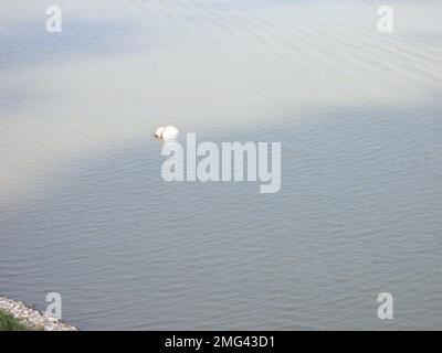 Overflight - Potter - Port Fourchon - 26-HK-210-11. Lat/Long: 29 05,858, 90 13,091; boa di ormeggio sommersa vicino al bordo del canale. Uragano Katrina Foto Stock