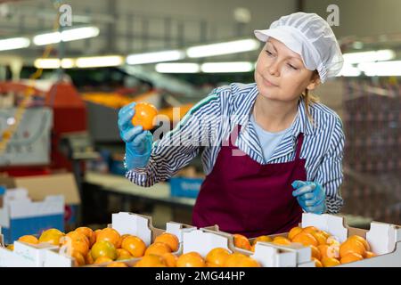 Dipendente della fabbrica di smistamento frutta femminile che controlla i tangerini nelle scatole Foto Stock