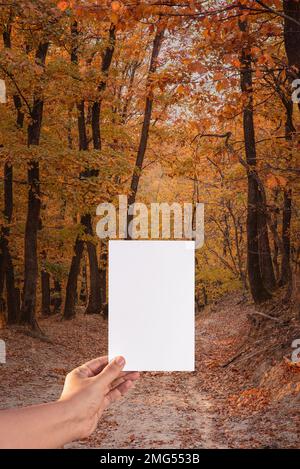 mano che tiene un foglio bianco vuoto di carta. autunno sfondo con strada su una collina. giorno autunnale soleggiato. Foto Stock