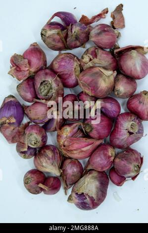 Bawang Merah o Shallot i suoi parenti stretti includono la cipolla, Leek, Chive, la cipolla gallese e la cipolla cinese. Con messa a fuoco selezionata Foto Stock