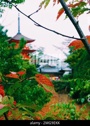 Tempio giapponese nascosto negli alberi di Kyoto Foto Stock