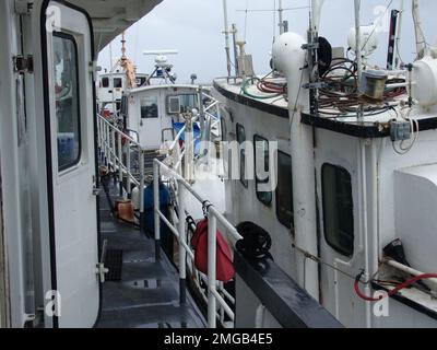 Personale della Guardia Costiera - Katrina e Rita - 26-HK-337-37. Uragano Katrina Foto Stock