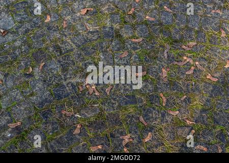 Vista dall'alto della struttura di strada acciottolata con erba. Pavimentazione in pietra. Foto Stock