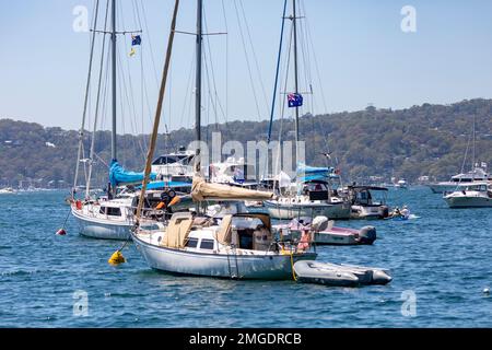 Sydney, Australia. Giovedì 26th gennaio 2023. I proprietari di barche celebrano l'Australia Day in acqua a Pittwater Sydney, battendo bandiere australiane sulle loro barche e in alcuni casi indossando abiti patriottici australiani. Le prove mostrano un interesse in calo in questa giornata nazionale, in particolare tra le generazioni più giovani. Credit: martin berry/Alamy Live News Credit: martin berry/Alamy Live News Foto Stock