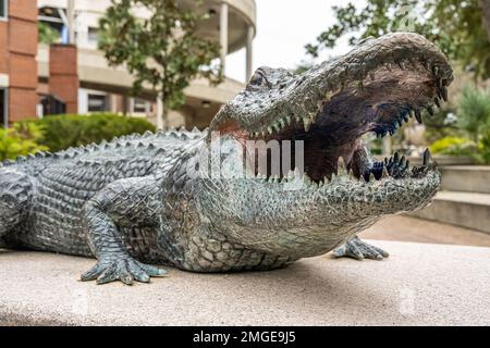 Statua del Gator della Florida all'esterno dello stadio ben Hill Griffin (noto anche come "la palude") nel campus dell'Università della Florida a Gainesville, Florida. (USA) Foto Stock