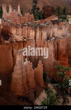 Gli hoodoos o le guglie rocciose sono il prodotto dell'erosione al Bryce Canyon National Park, Garfield County, Utah Foto Stock