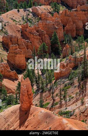Gli hoodoos o le guglie rocciose sono il prodotto dell'erosione al Bryce Canyon National Park, Garfield County, Utah Foto Stock