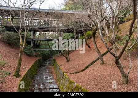 Kyoto, Giappone - 29 dicembre 2019. Foto esterna dei giardini del canyon di Senqukukan e del ponte di Tsutenkyo a Kyoto, parte del complesso del Tempio di Tofuki-Ji. Foto Stock