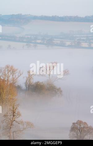 Inverno mattina luce del sole su una nebbia gelida Arlescote nella campagna del Warwickshire. Inghilterra Foto Stock