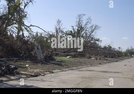 Conseguenze - varie - 26-HK-46-69. alberi sradicati lungo la strada. Uragano Katrina Foto Stock