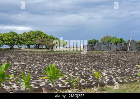 Polinesia francese, Raiatea: Marae Taputapuatea, patrimonio mondiale dell'UNESCO, Isole della Società, Sud Pacifico. Il sito presenta un certo numero di marae e di oth Foto Stock