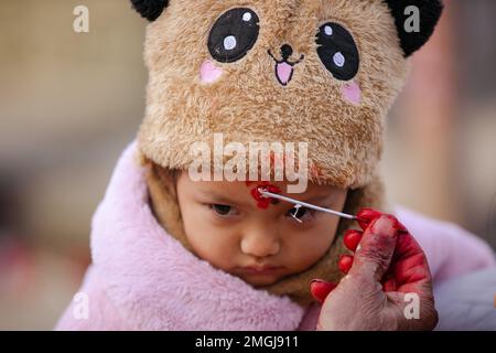 Kathmandu, Nepal. 26th Jan, 2023. Un bambino è visto come 'Tika' è applicato sulla sua fronte durante il Saraswati Puja Festival. Basantapancami, o Saraswati Puja, è una giornata per gli studenti di culto Saraswati, la dea della conoscenza e dell'apprendimento. I bambini piccoli vengono anche dati la loro prima lezione di lettura e scrittura in questo giorno. Credit: SOPA Images Limited/Alamy Live News Foto Stock