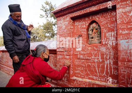 Kathmandu, Nepal. 26th Jan, 2023. Una vecchia donna scrive sulle pareti del tempio di Saraswati durante il Saraswati Puja Festival. Basantapancami, o Saraswati Puja, è una giornata per gli studenti di culto Saraswati, la dea della conoscenza e dell'apprendimento. I bambini piccoli vengono anche dati la loro prima lezione di lettura e scrittura in questo giorno. Credit: SOPA Images Limited/Alamy Live News Foto Stock