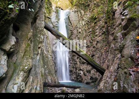 Splendida vista sul paesaggio delle cascate. Piccola cascata in uno scenario di foresta verde profondo. Sochi, Russia natura Foto Stock