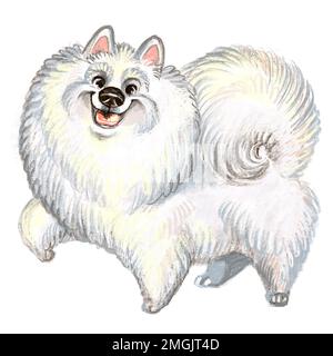 Simpatico personaggio divertente cartone animato cane. Samoyed cane razza raster illustrazione isolatwd su sfondo bianco. Per stampa, design, sublimazione, adesivi, t shir Foto Stock