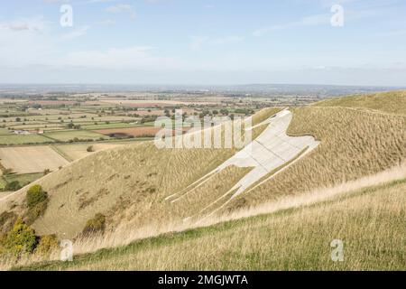 Vista da Westbury White Horse. Hill figura creata mediante esposizione di gesso bianco sulla scarpata di Salisbury Plain nel Wiltshire, Regno Unito Foto Stock