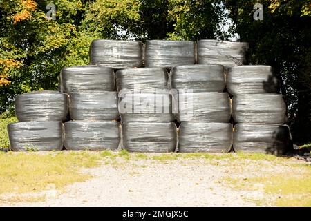 balle di paglia di fieno insilato protetto in plastica protetto in fila di pile per l'alimentazione degli alimenti durante la raccolta Foto Stock