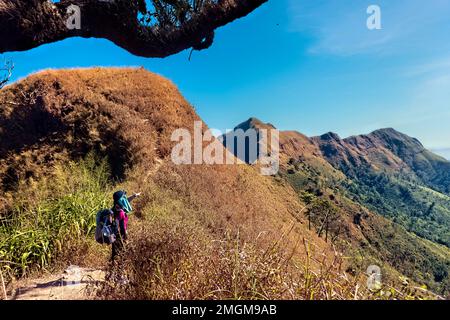 L'escursionista si dirige verso la cresta a coltello su Khao Chang Phueak, Parco Nazionale di Thong Pha Phum, Kanchanaburi, Thailandia Foto Stock