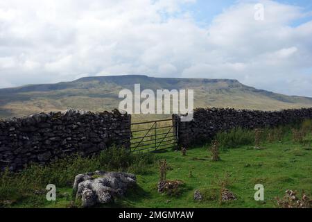 "Wild Boar Fell" dalla Lady Anne Clifford's Highway (passerelle) su Mallerstang Common nella Eden Valley, Yorkshire Dales National Park, Inghilterra, Regno Unito Foto Stock