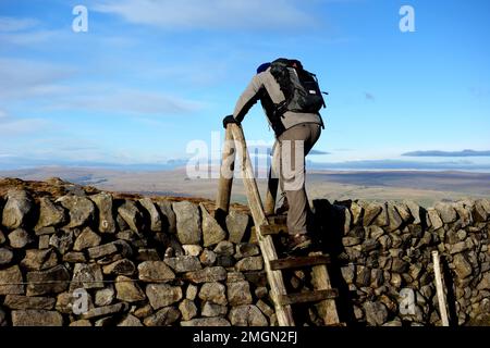 Man Climbing Scaletta di legno affianca sopra il muro di pietra sulla cima di 'Cracoe Fell' nel Yorkshire Dales National Park, Inghilterra, Regno Unito. Foto Stock