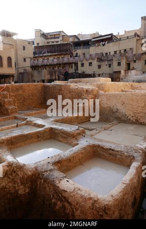 Fes ha la più grande area pedonale del mondo con la sua Medina medievale, e la conceria Chouara, dove per 1000 anni le pelli sono state pulite e tinte Foto Stock